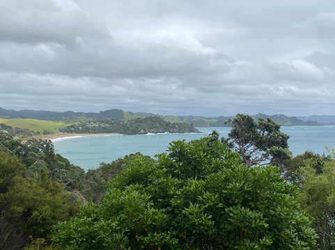 Whale Bay-Matapouri必去景点