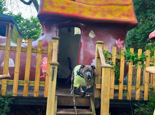 Thornbridge Estate-Ashford-in-the-Water必去景点