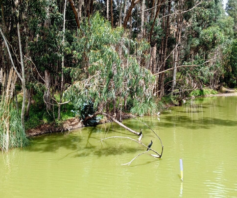 Laguna De Yambo-Salcedo必去景点