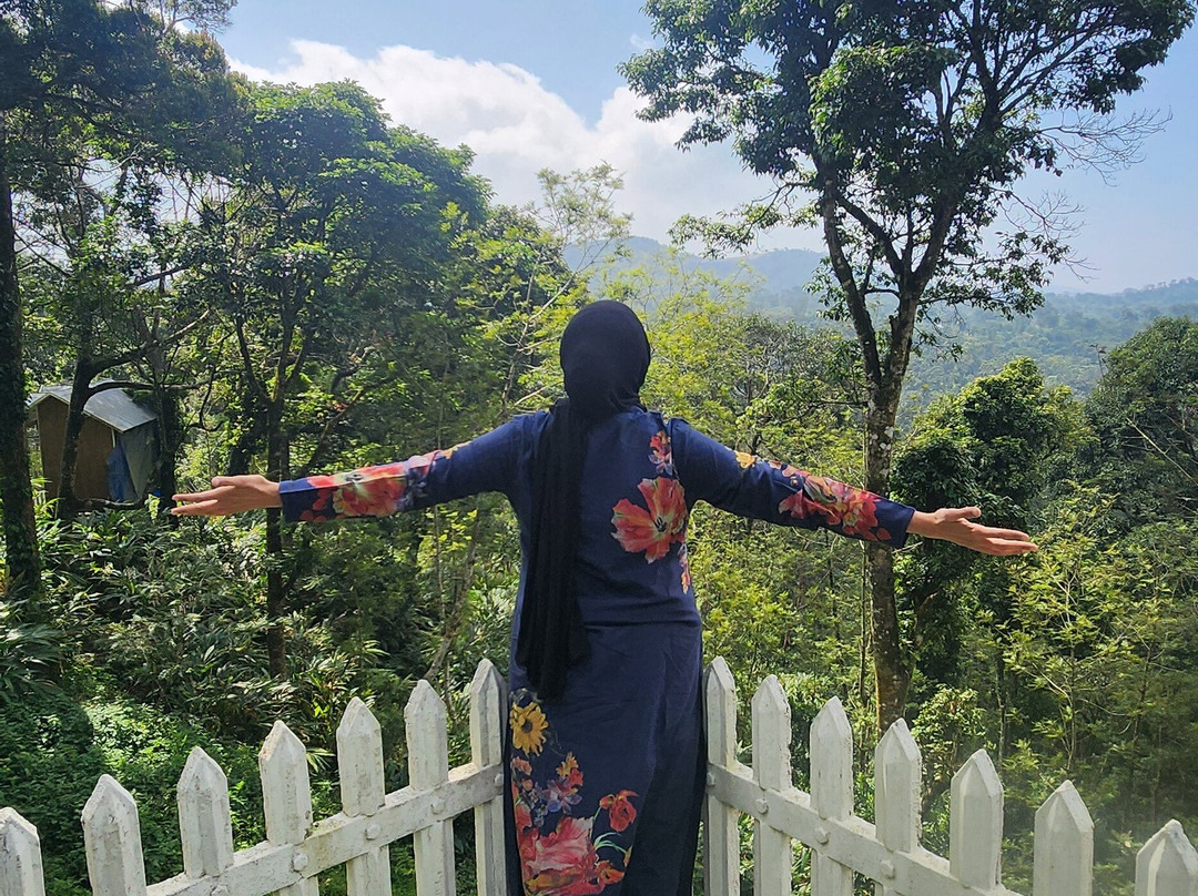 31st December Farms & Estates Munnar主图