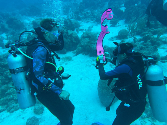 Central Dive Curacao-威廉斯塔德必去景点