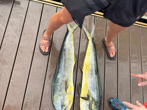 Hunt Fish Kauai-可洛亚必去景点