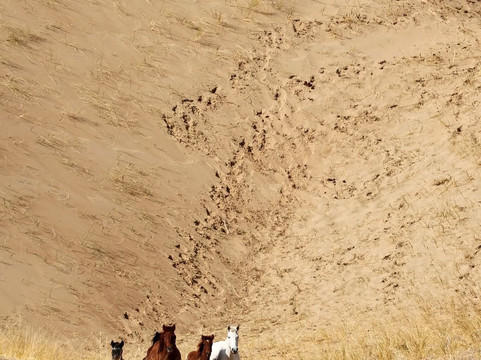 Mongolia Trekking-乌兰巴托必去景点