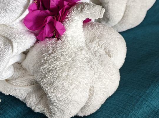 Jackalberry Chobe主图