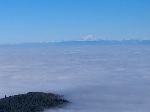 Chapelle saint sabin