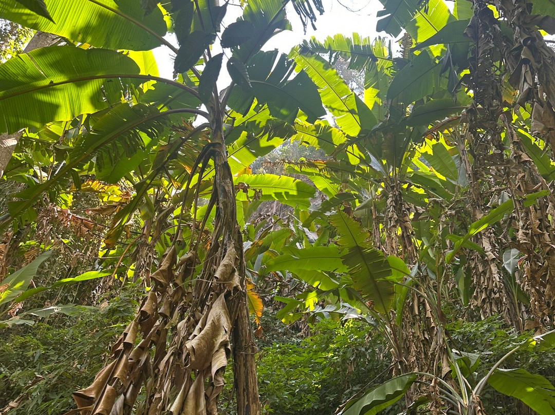 Trailhead-清迈必去景点