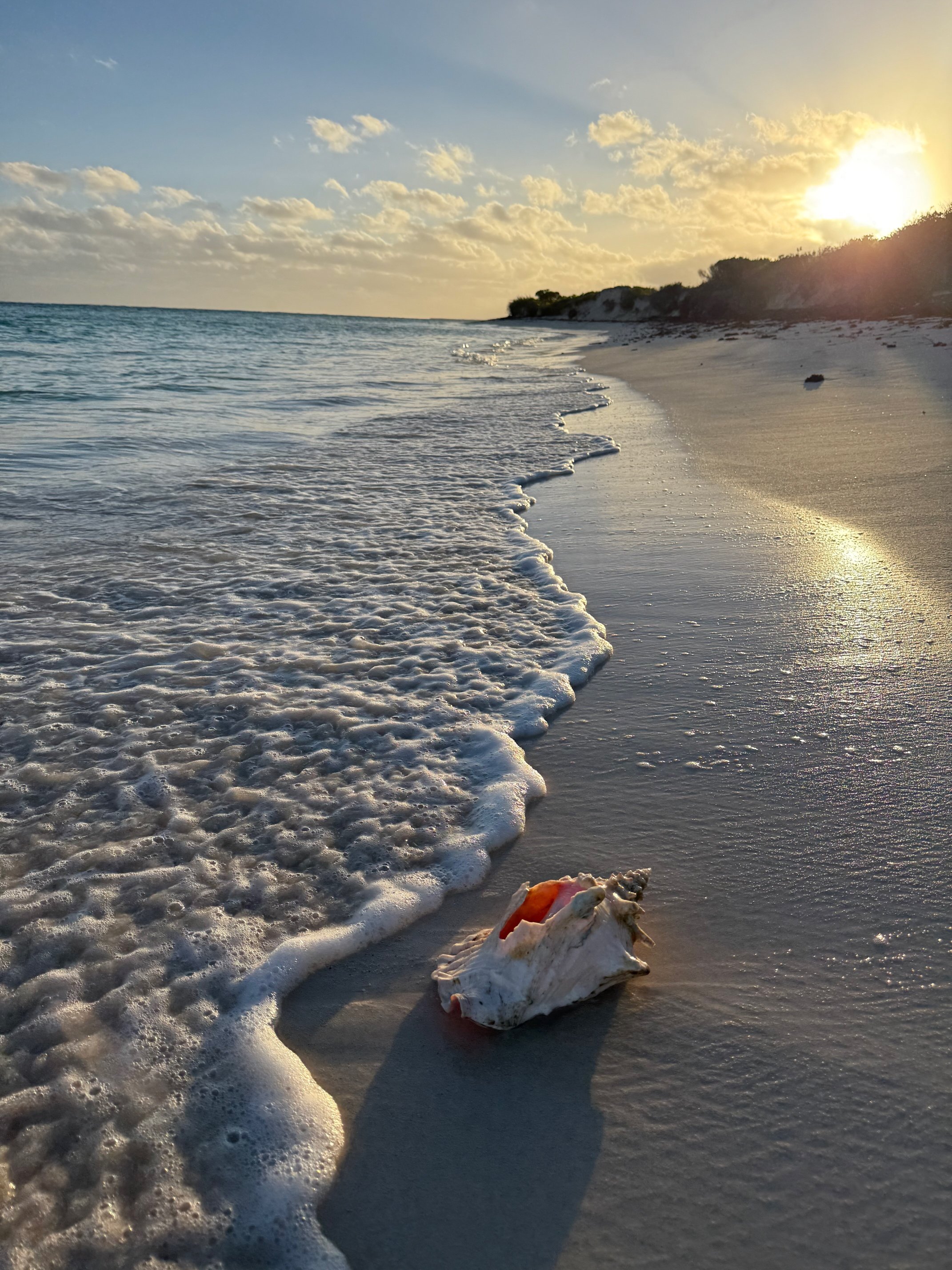 Anegada Beach Club-泳池