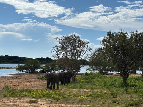 Sri Lankan Spring Tours-蒂瑟默哈拉默必去景点