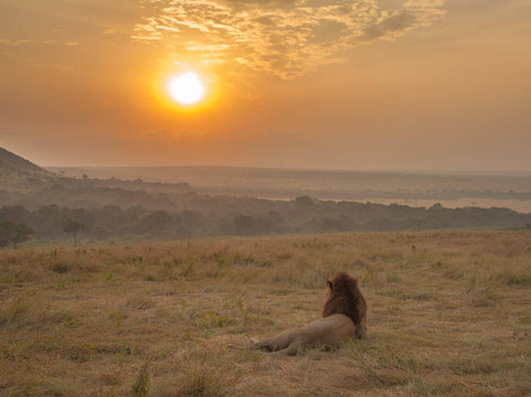 Kenya Wild Parks-内罗毕必去景点