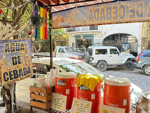 Vallarta Food Tours-瓦拉塔港必去景点