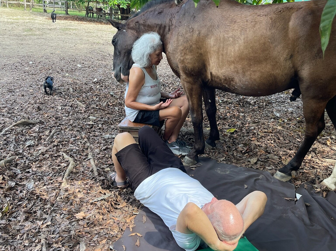Horse Spirit Healing-Cabuya必去景点