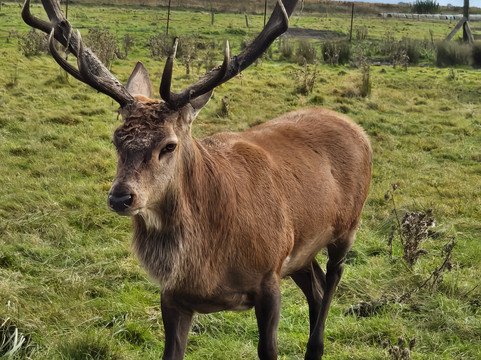Atomi Mini Zoo-Liepaja必去景点