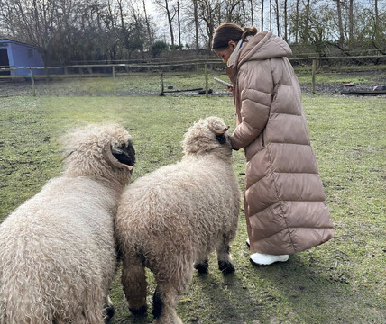 Huckleberry Woods-Faversham必去景点