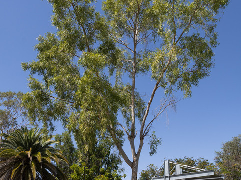 Australian Workers Heritage Centre-Barcaldine必去景点