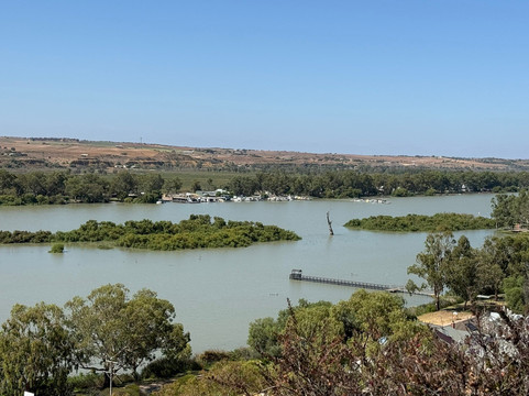 Proud Mary - Murray River Day Cruises-Murray Bridge必去景点