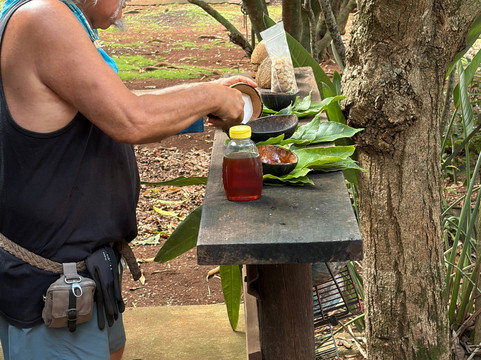 Purdy's All-Natural Macadamia Nut Farm-摩洛凯岛必去景点