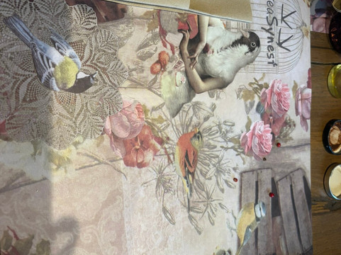 Area Synest - All Day Nature-Egira必去景点