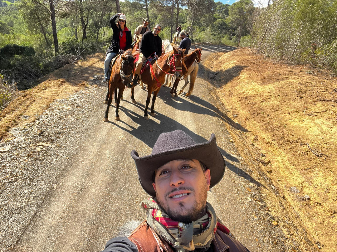 Nboujiw-阿尔及尔必去景点