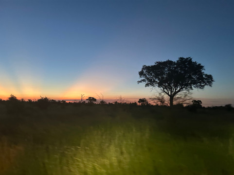 Royal Safaris-库马堤港必去景点