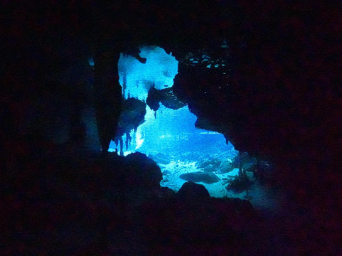 Pasku Dive-普拉亚德尔卡曼必去景点