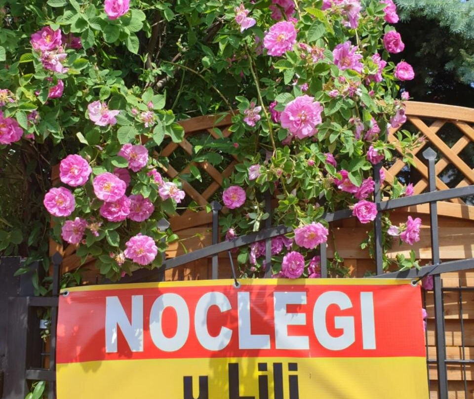 Noclegi u Lili