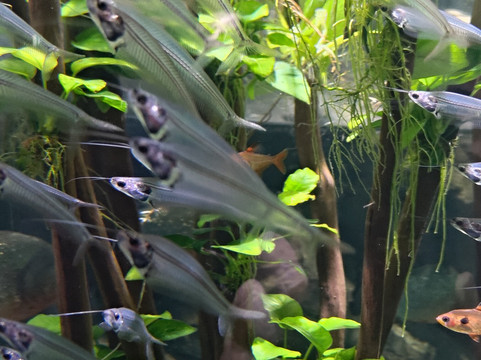 Marassi Aquarium & Underwater Zoo-Diyar Al Muharraq必去景点