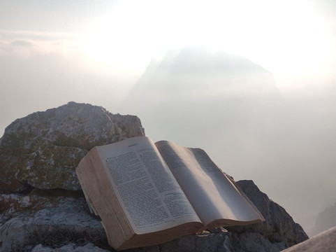 Gaia Xtreme Tours-蒙特雷必去景点