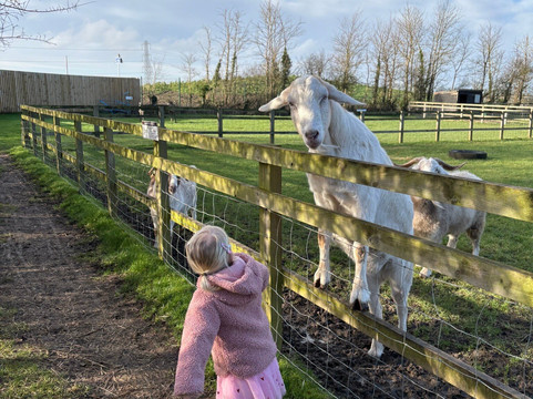The Bucks Goat Centre-艾尔斯伯里必去景点
