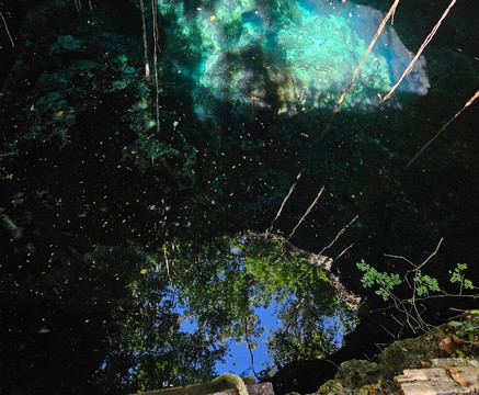 Dressel Divers - Barceló Maya Riviera-Barcelo Maya必去景点