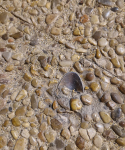 The Spoon In Concrete景点门票图片