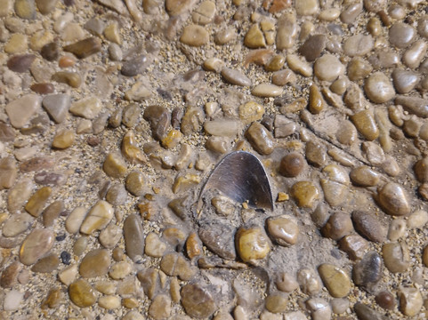 加纳利群岛旅游景点-The Spoon In Concrete