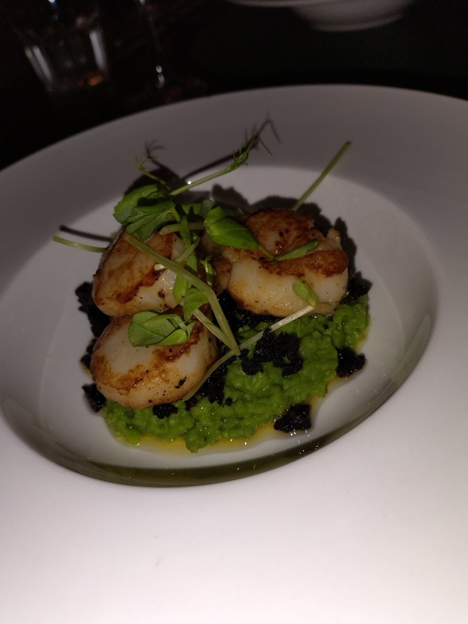 波尼寇特旅馆酒店-官方