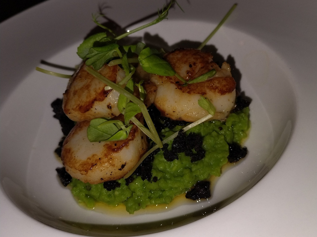 波尼寇特旅馆酒店主图