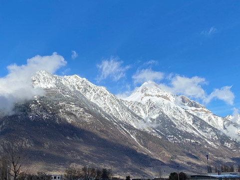 Barryland - Musée et chiens du St-Bernard-马蒂尼必去景点