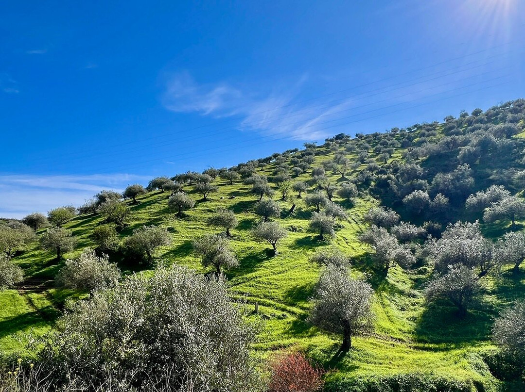A Cooking Day-马拉加必去景点