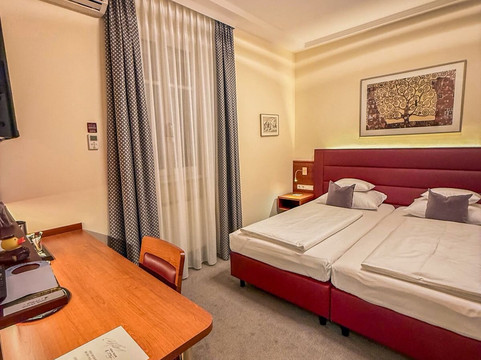 奥地利经典维也纳酒店主图