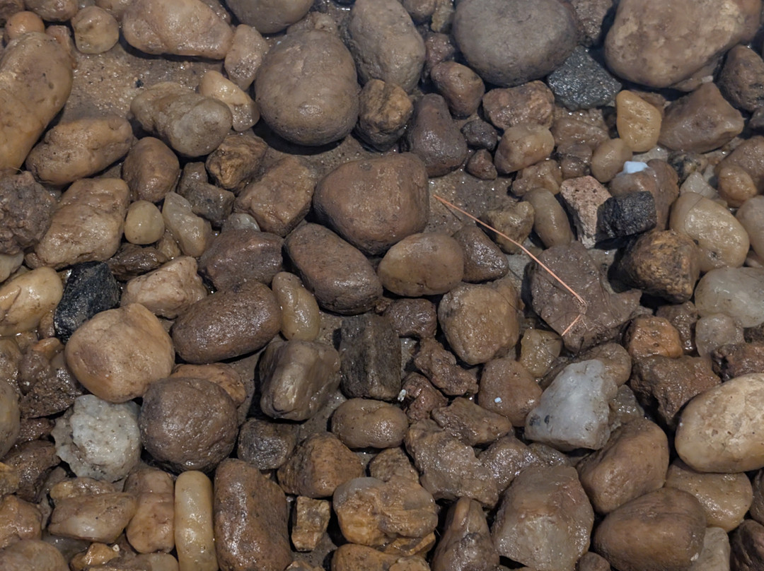 加勒丛林阁楼主图