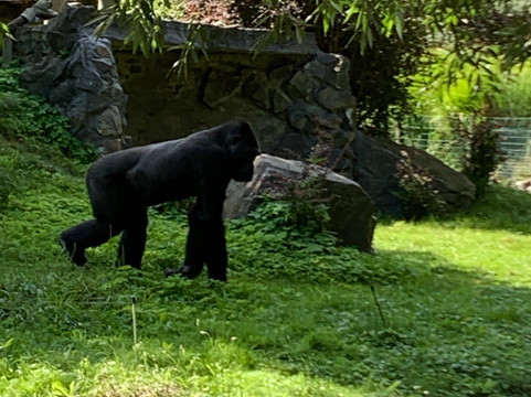 Zoo Opole-Opole必去景点