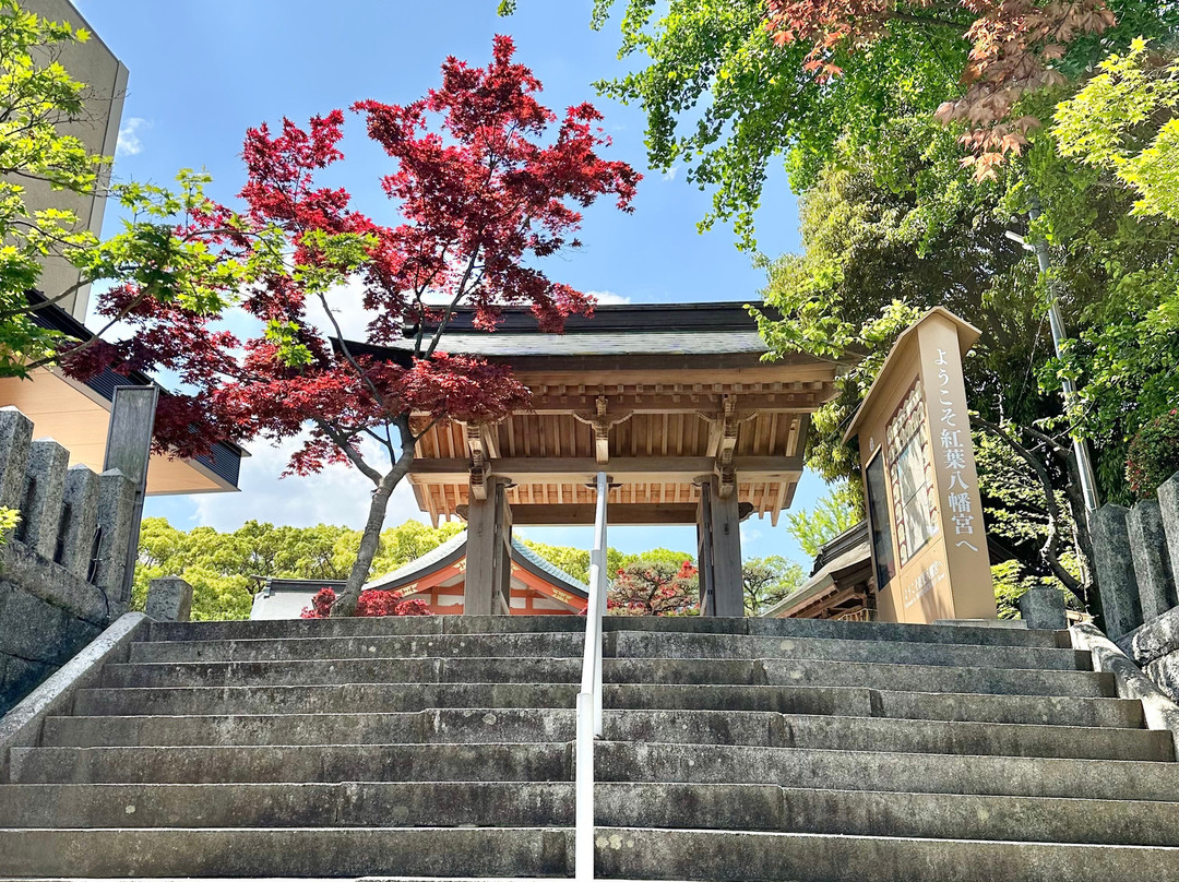 Momiji Hachimangu Shrine-福冈市必去景点