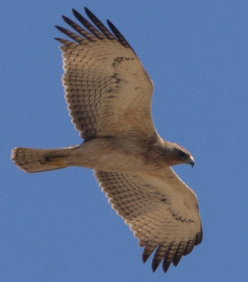 阿特拉斯古堡生态旅馆主图