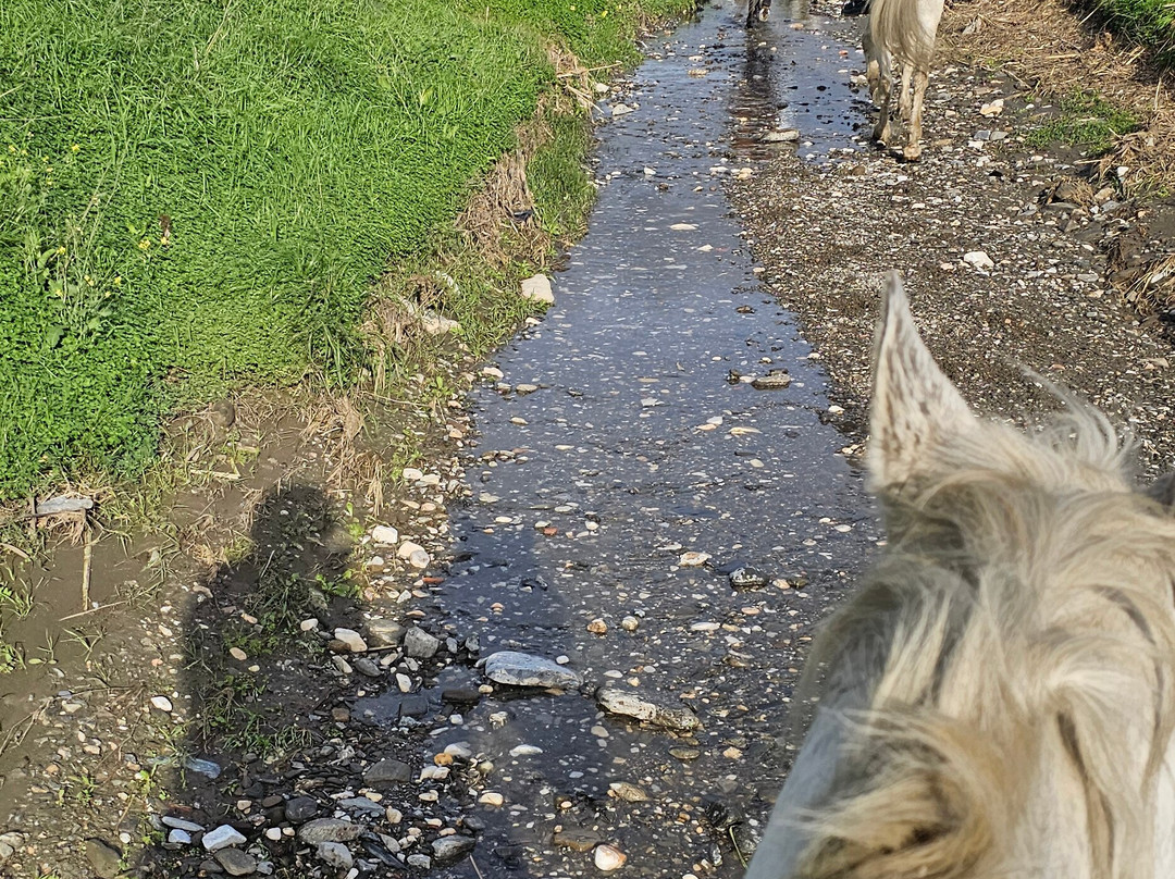 Andale Riding Nerja-内尔哈必去景点