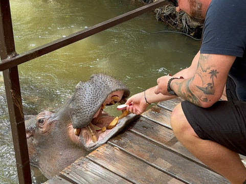 Hippo Jessica-霍德斯普鲁特必去景点