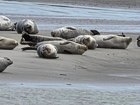 Club Nautique Berckois-Berck必去景点