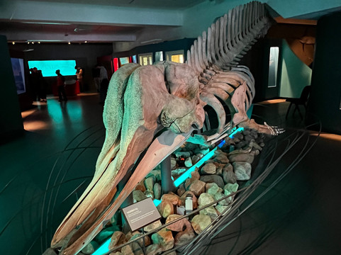 特罗姆瑟博物馆-特罗姆瑟必去景点