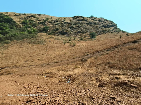 Kodachadri-Shimoga必去景点