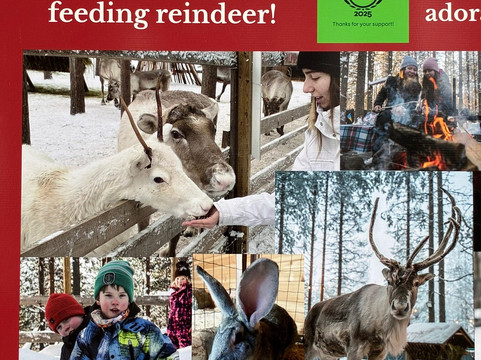 Santa's Pets Tallitontun Piha-罗瓦涅米必去景点