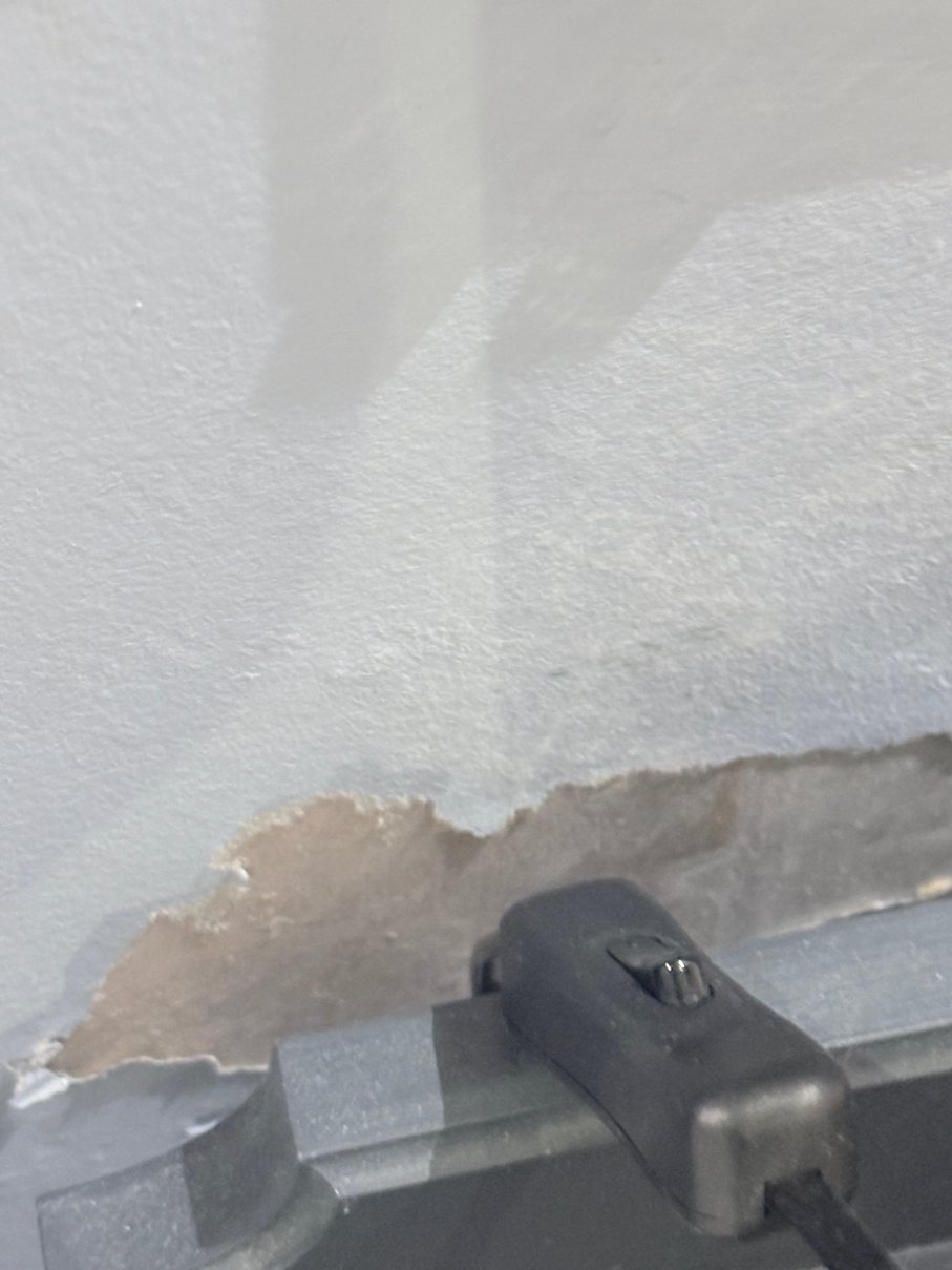 什利格雷大厅酒店-客卧