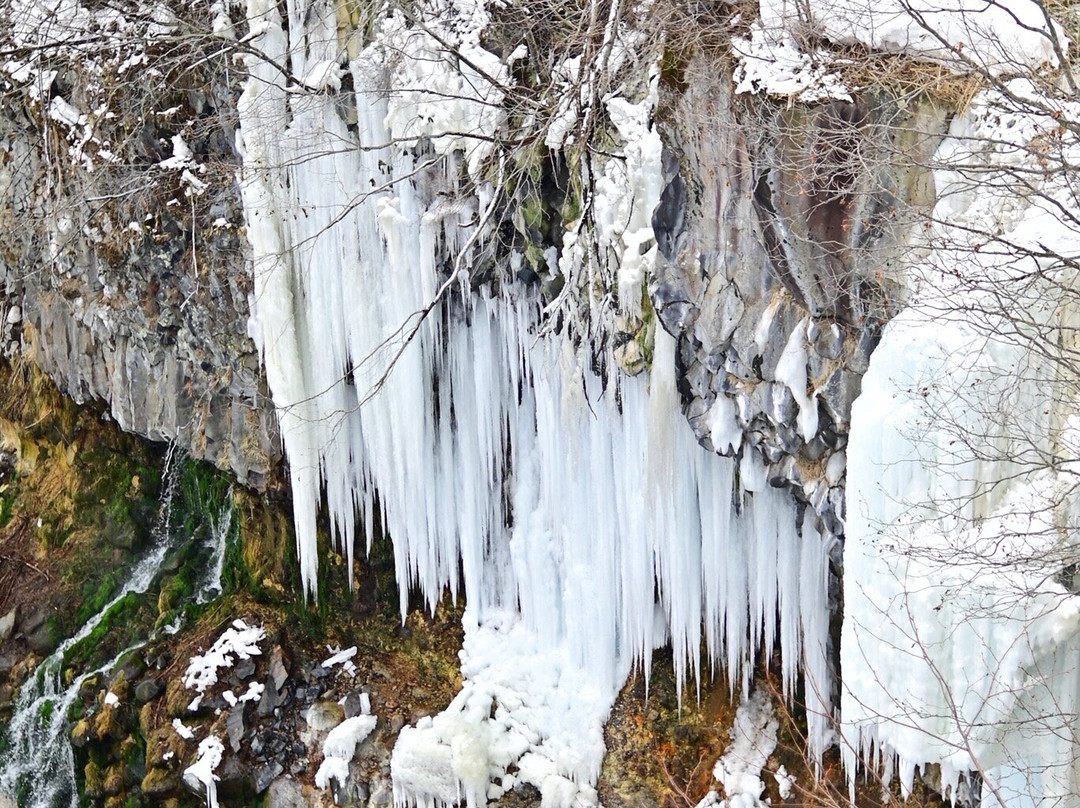 白髭瀑布-美瑛町必去景点
