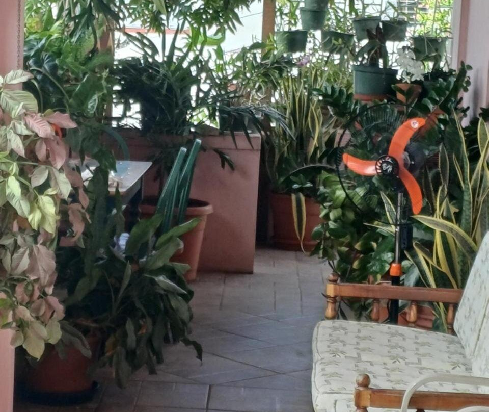 Peachbloom Terrace Inn Homestay