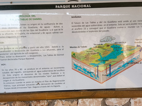 Parque Nacional de las Tablas de Daimiel-Daimiel必去景点